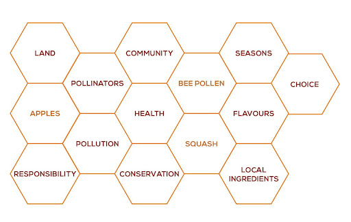 A honeycomb grid showing various concepts